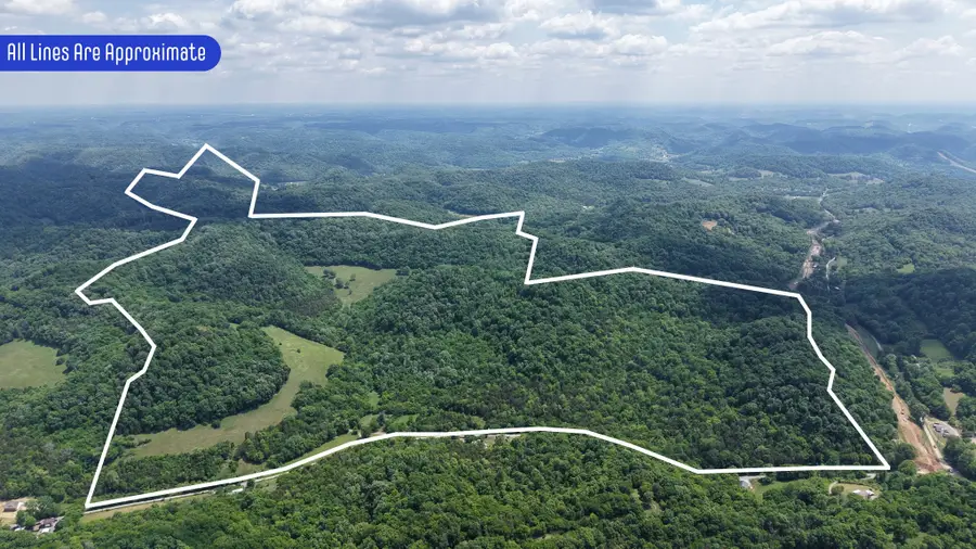 96 Maranatha Hollow Ln, Dixon Springs, TN 37057 - #2
