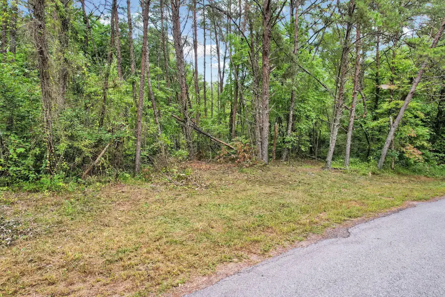 0 Golf Course Road, Copperhill, TN 37317 - #2