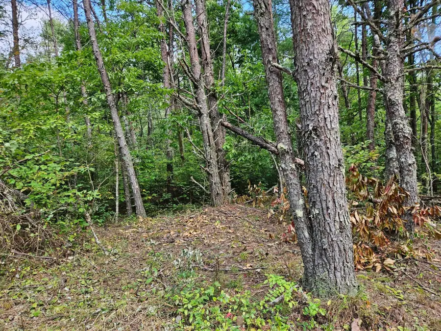 0 Golf Course Road, Copperhill, TN 37317 - #3
