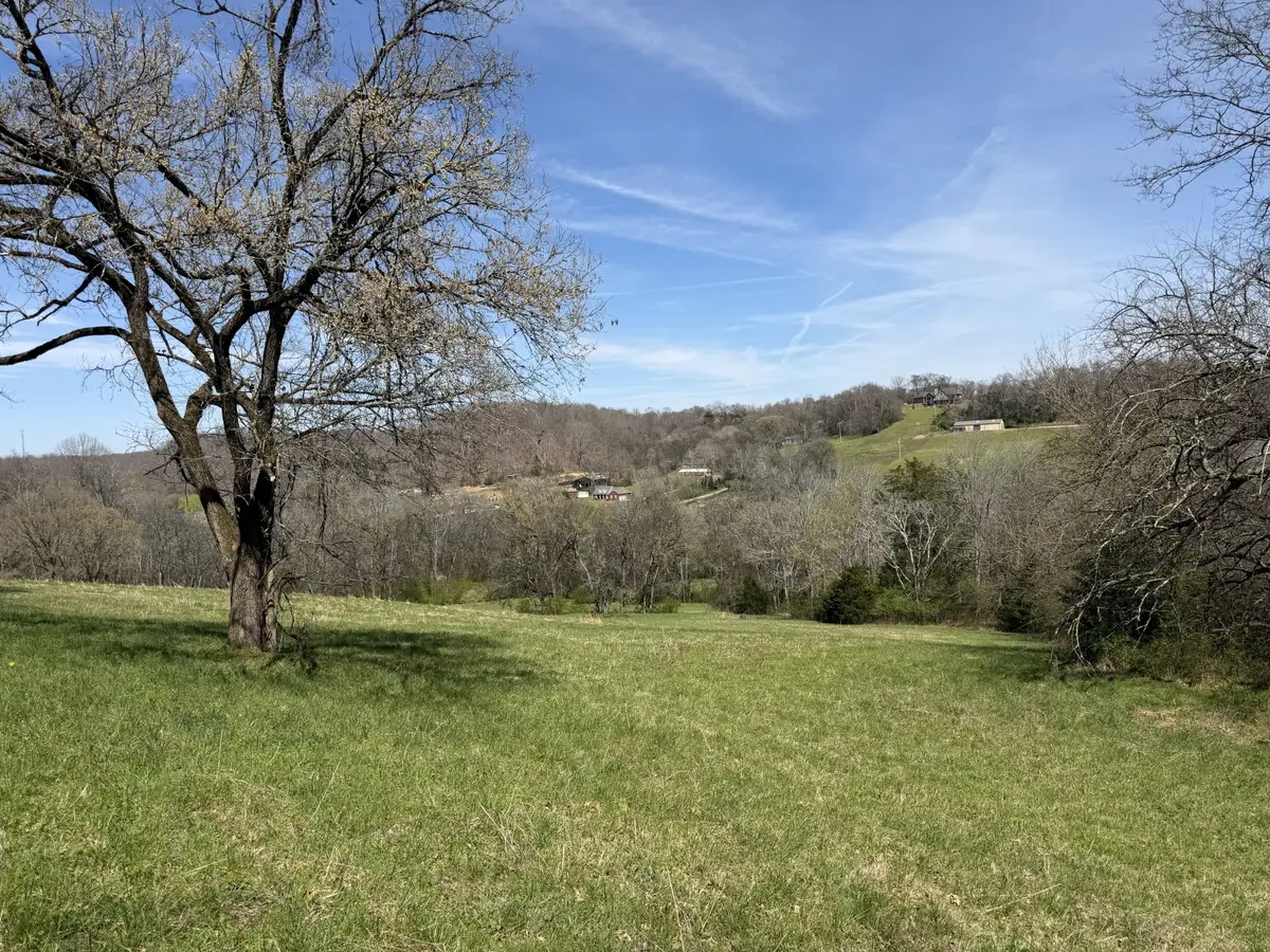 23 Fly Rd, Santa Fe, TN 38482 - #1