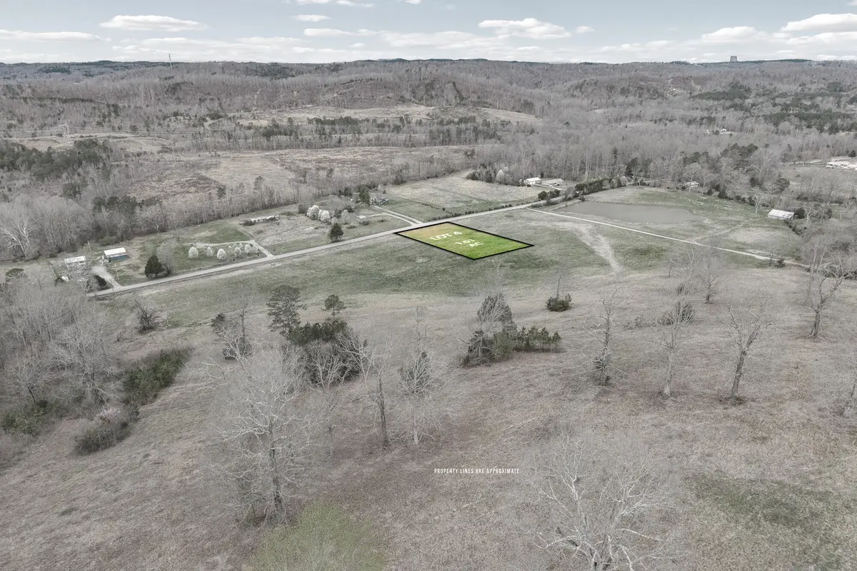 4 N Nopone Valley Road, Decatur, TN 37322 - #1