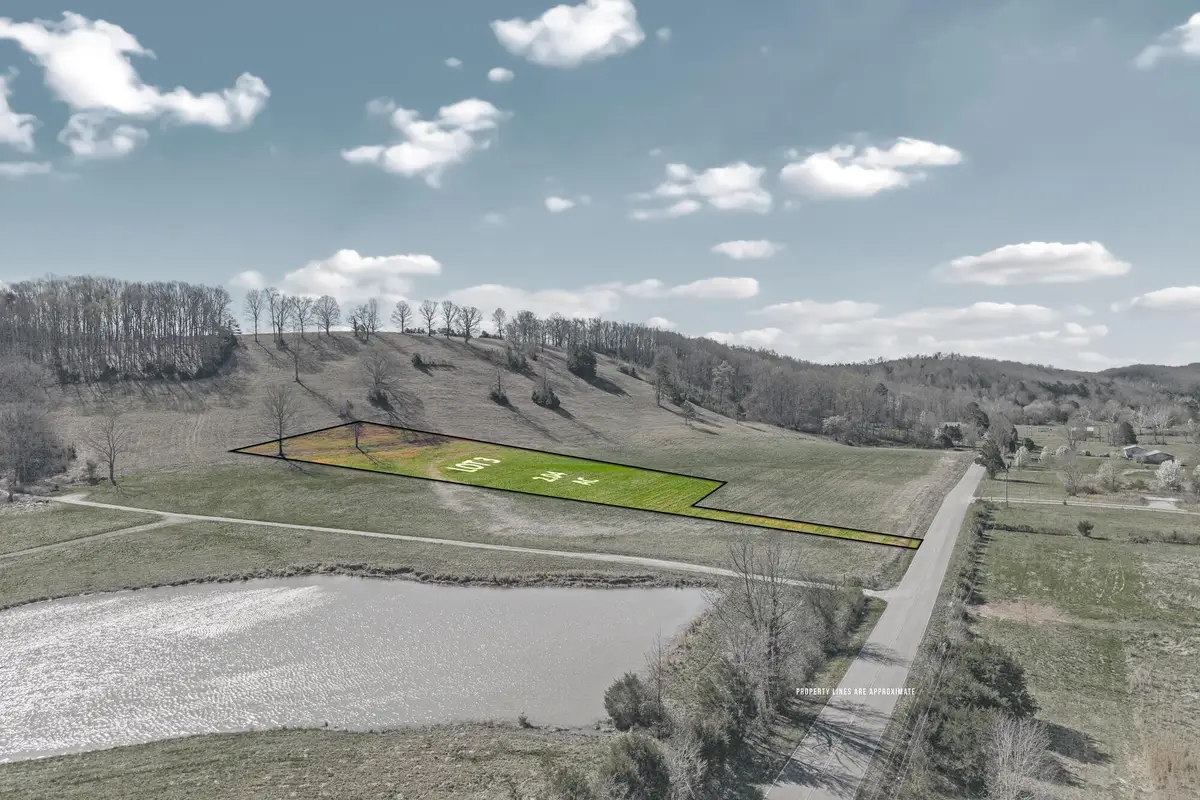 3 N Nopone Valley Road, Decatur, TN 37322 - #1