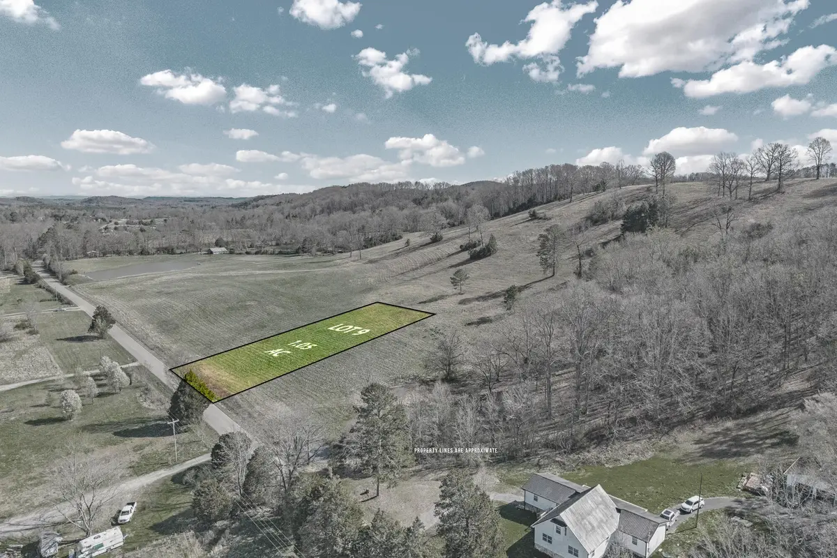 9 N Nopone Valley Road, Decatur, TN 37322 - #1