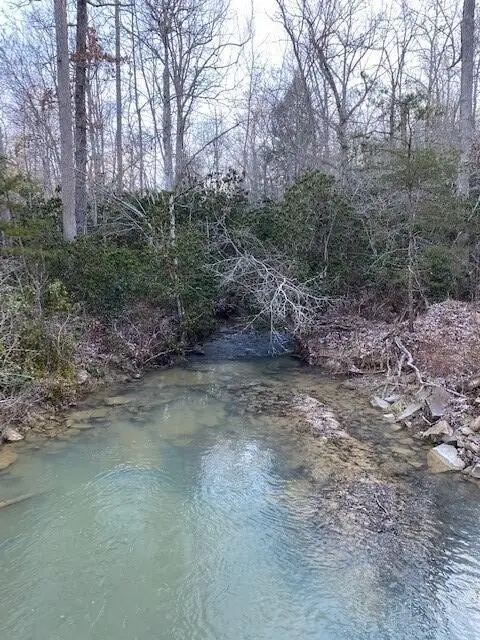 142 Cole Road, Deer Lodge, TN 37726 - #1