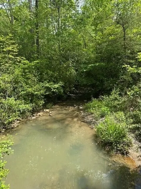 142 Cole Road, Deer Lodge, TN 37726 - #3