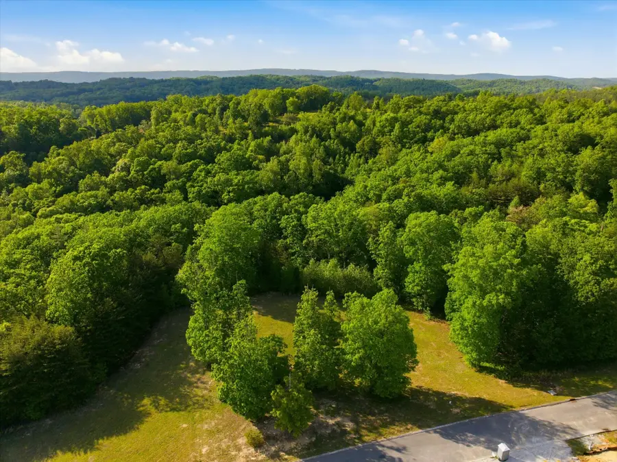 198 River Run Trail, Spring City, TN 37381 - #2