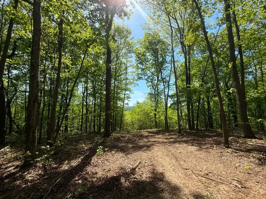 0 Laurel Lake Dr, Monteagle, TN 37356 - #2