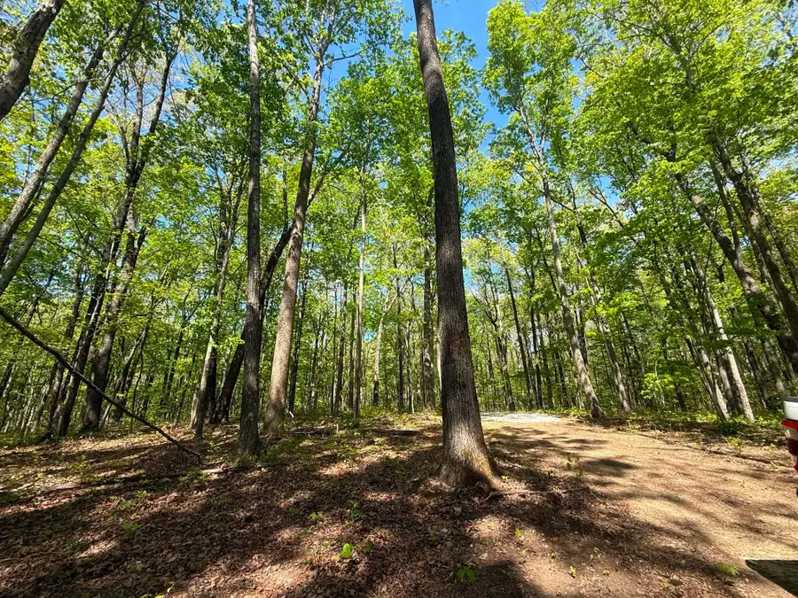 0 Laurel Lake Dr, Monteagle, TN 37356 - #3
