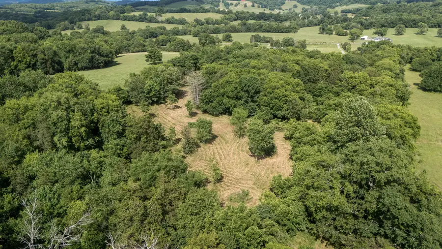 0 Hickerson Rd, Wartrace, TN 37183 - #3
