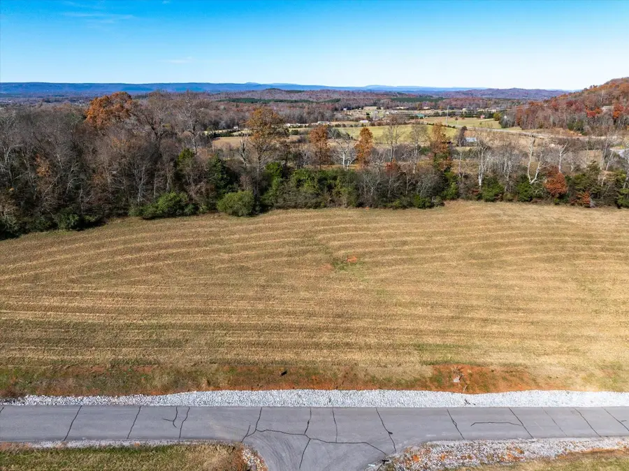 65 The Gates Drive, Decatur, TN 37322 - #3