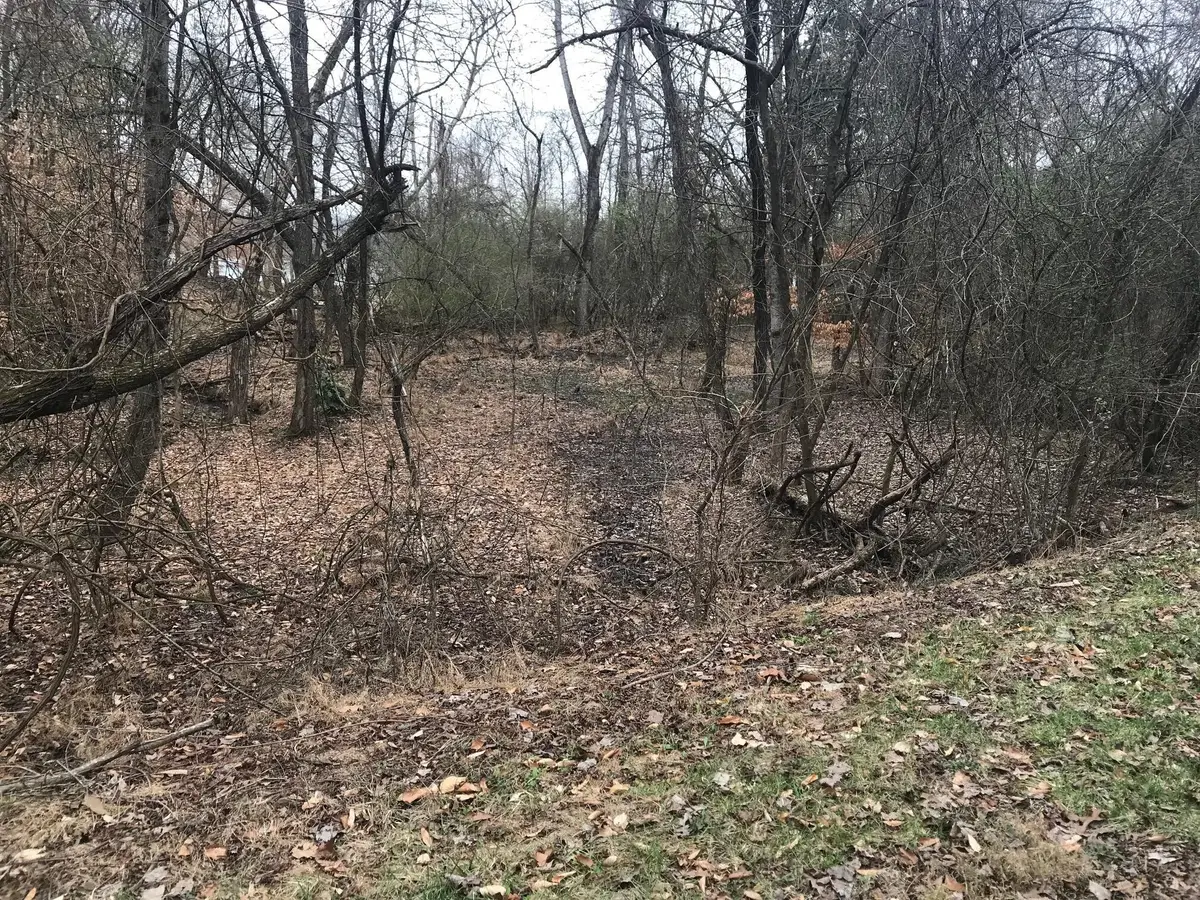 50 Cherokee Circle, Ten Mile, TN 37880 - #1
