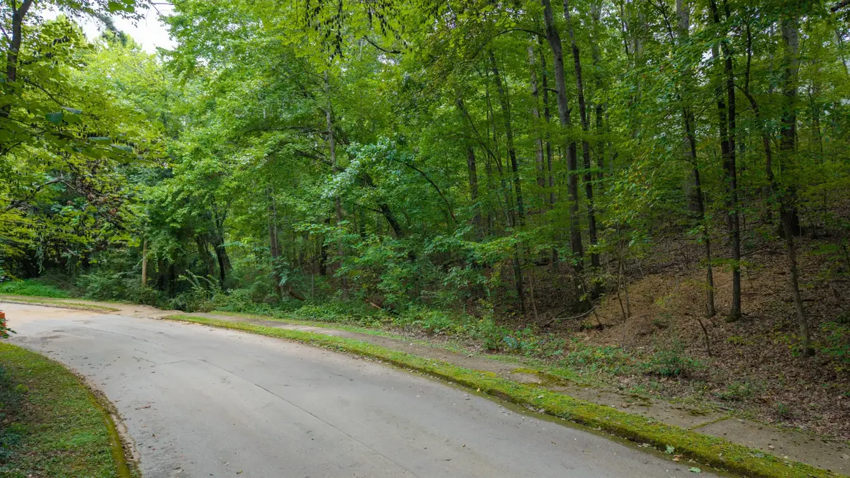 4742 Buckingham Drive, Chattanooga, TN 37421 - #1