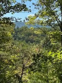 61 Chestnut Valley Road, Vonore, TN 37885 - #2