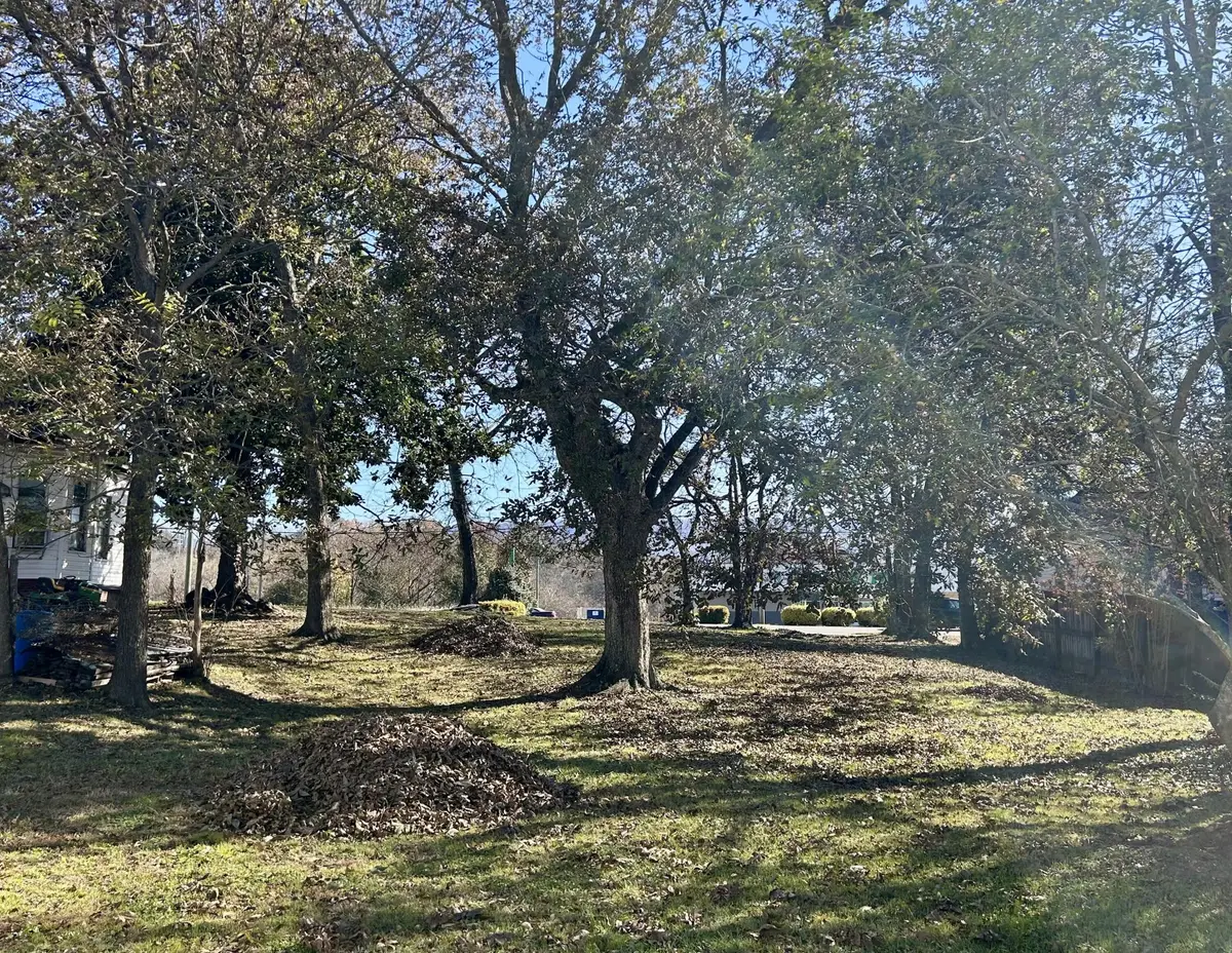 410 Tennessee Avenue, Etowah, TN 37331 - #1