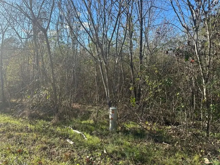 0 Mt Carmel Road, Decatur, TN 37322 - #1