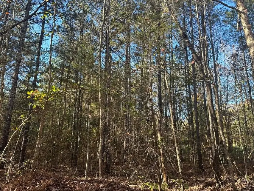 0 Mt Carmel Road, Decatur, TN 37322 - #2