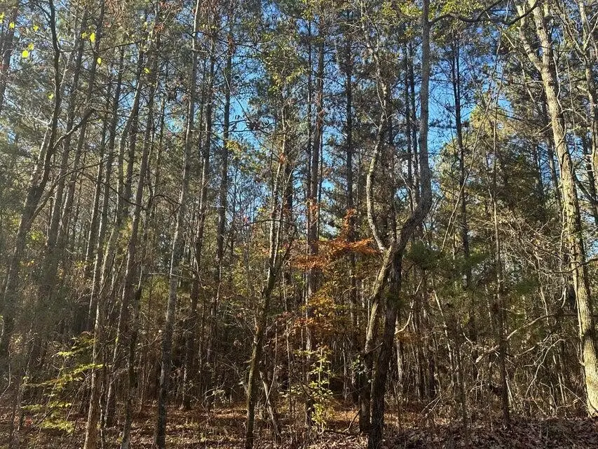 0 Mt Carmel Road, Decatur, TN 37322 - #3