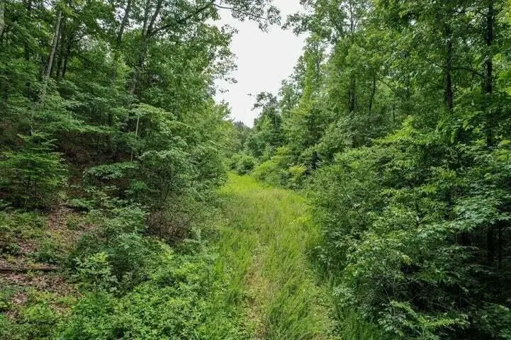0 92 County Road, Athens, TN 37303 - #2