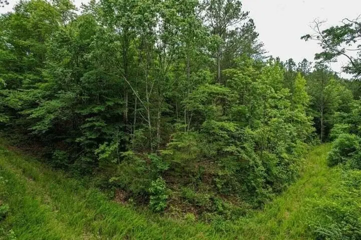 0 92 County Road, Athens, TN 37303 - #3