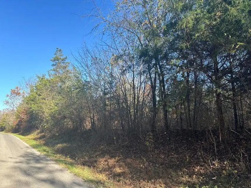 0 Mt Carmel Road, Decatur, TN 37322 - #1