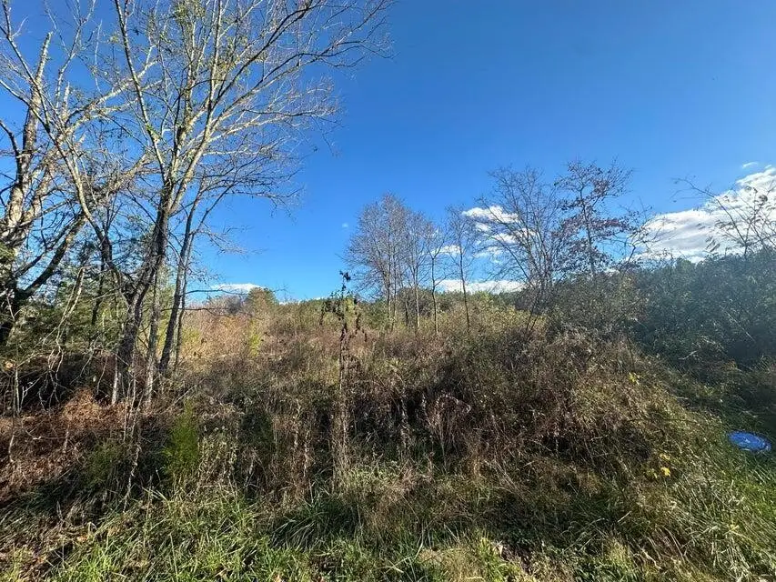 0 Mt Carmel Road, Decatur, TN 37322 - #2