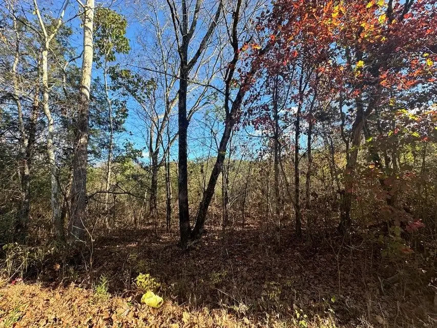 0 Mt Carmel Road, Decatur, TN 37322 - #3