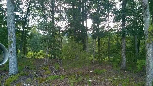 104105 Peach Orchard Hill Road Ne, Cleveland, TN 37323 - #1