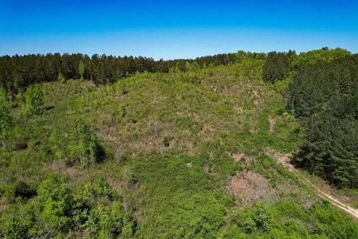 0 Sneed Road, Decatur, TN 37322 - #1