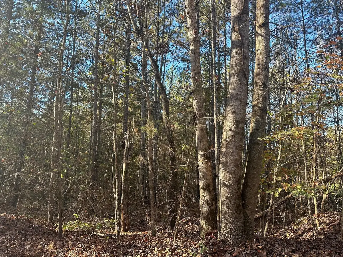 0 Redman Lane, Decatur, TN 37322 - #1
