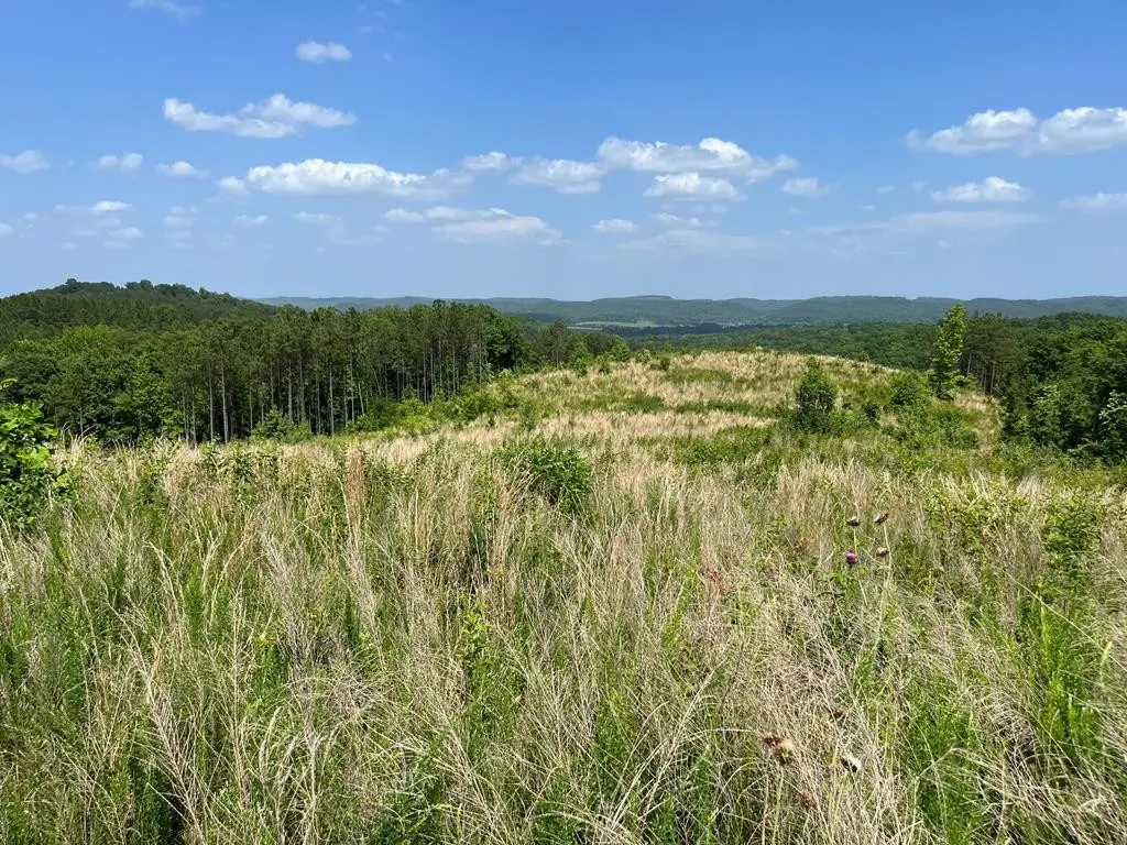0 County Road 53, Athens, TN 37303 - #1