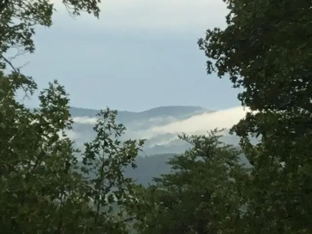 260 Deer Ridge Trail, Ocoee, TN 37361 - #3