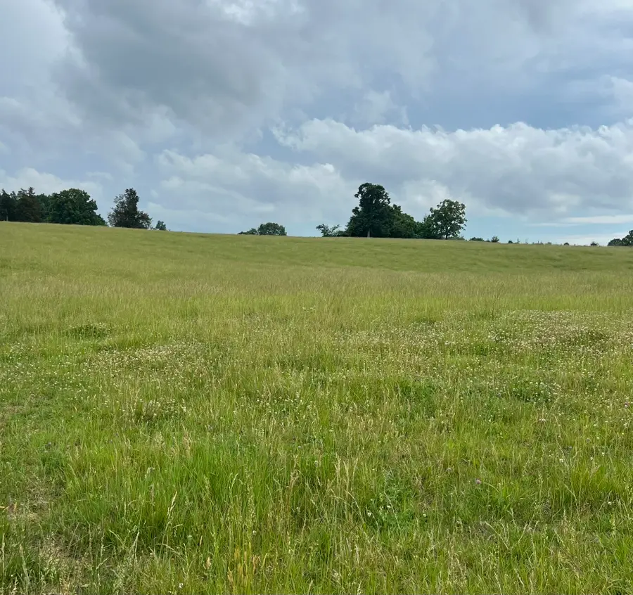 0 Bosham Rd, Westmoreland, TN 37186 - #3