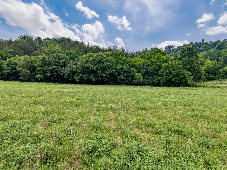 386 Cathcart, Frankewing, TN 38459 - #3