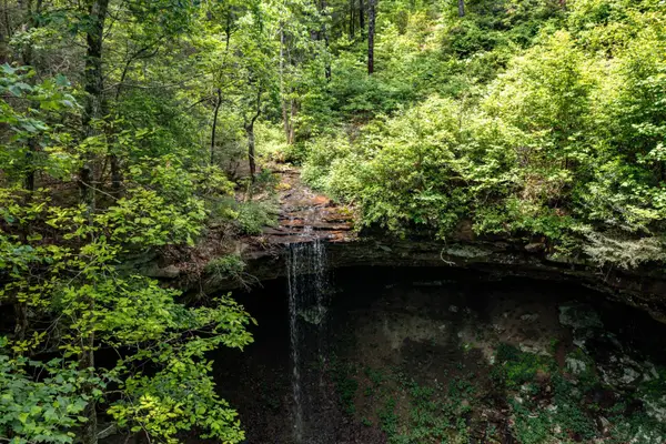 196 Big Bluff View, Pikeville, TN 37367