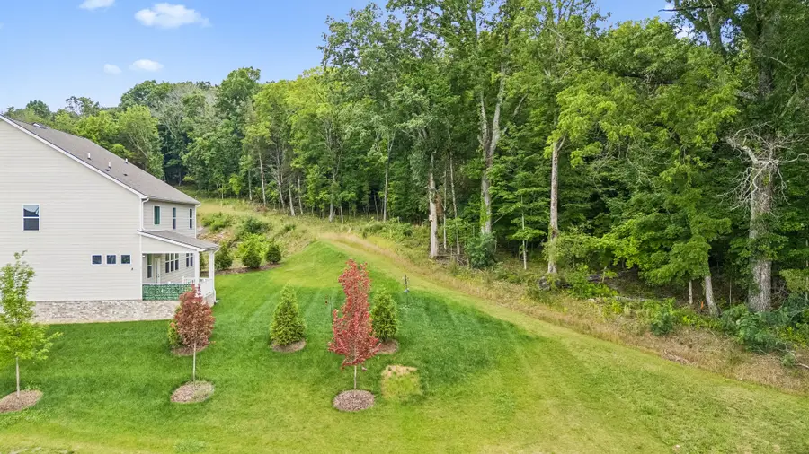 122 Cannonade Ct, Smyrna, TN 37167 - #3