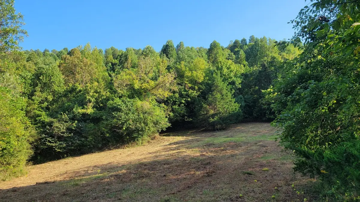 48 Hannah Br Rd, Petersburg, TN 37144 - #1