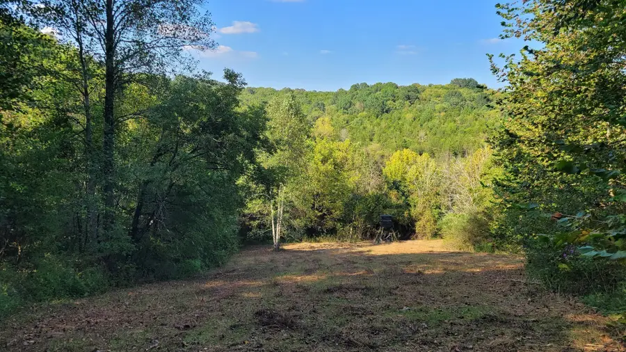 48 Hannah Br Rd, Petersburg, TN 37144 - #2