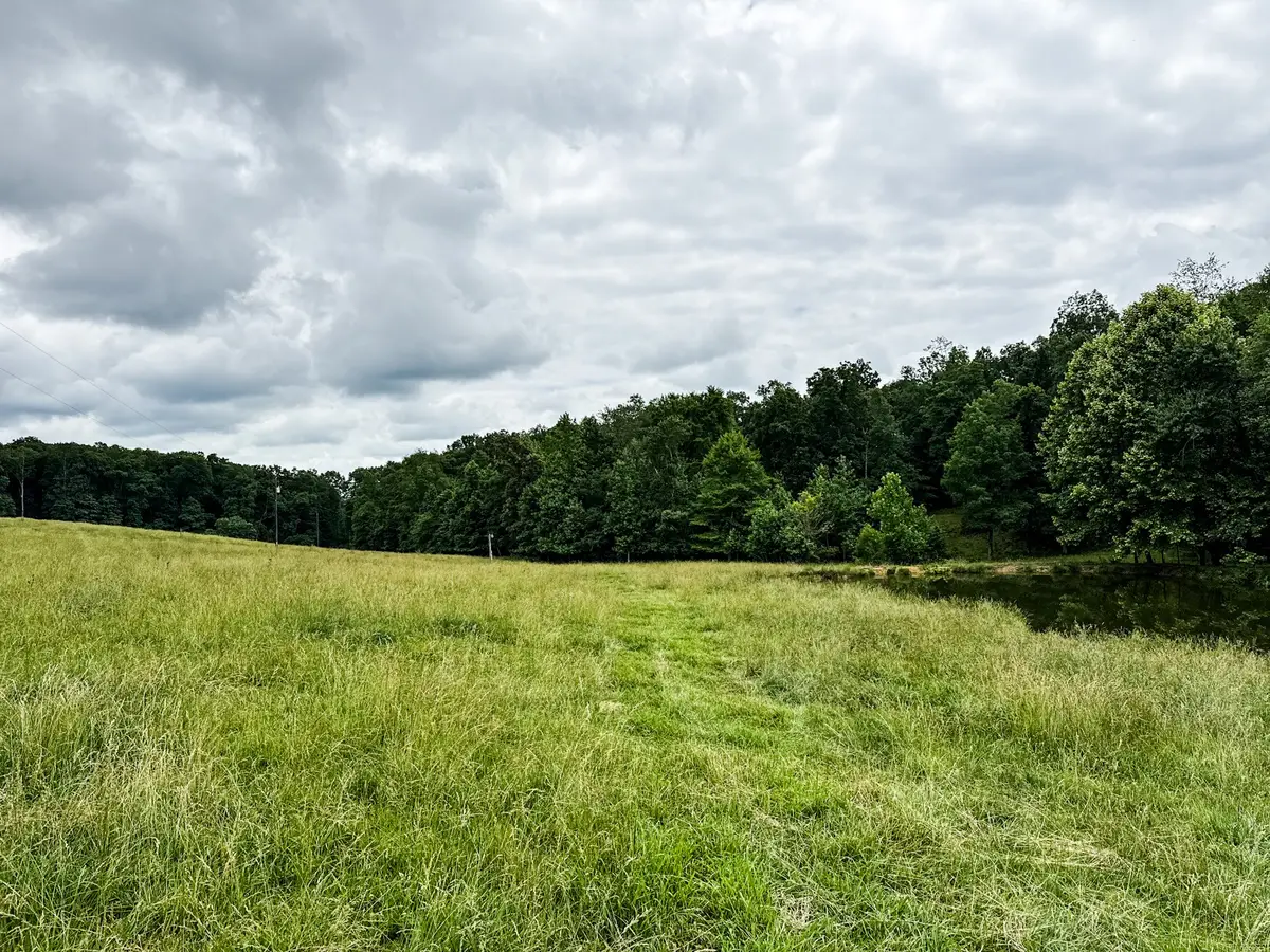 0 David Patterson Rd, Lutts, TN 38471 - #1