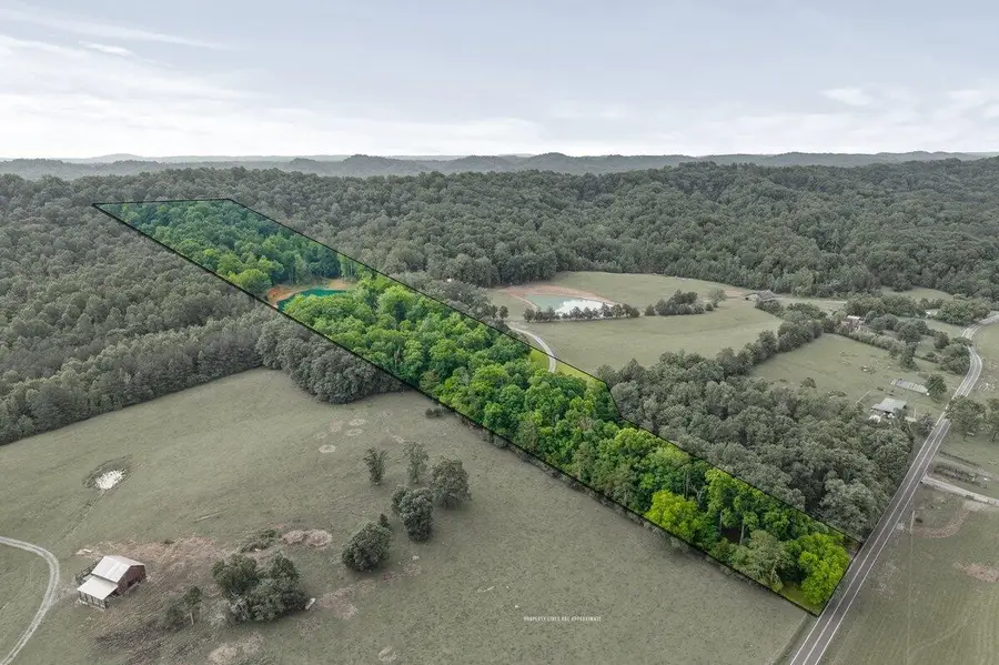 499 County Road 740, Riceville, TN 37370 - #3