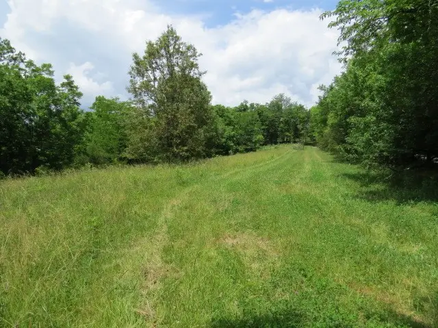 200 Hardy Rd, Pulaski, TN 38478 - #3