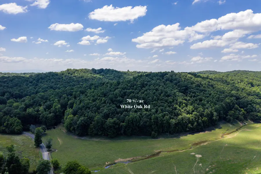 1636 White Oak Road Nw, Cleveland, TN 37312 - #3