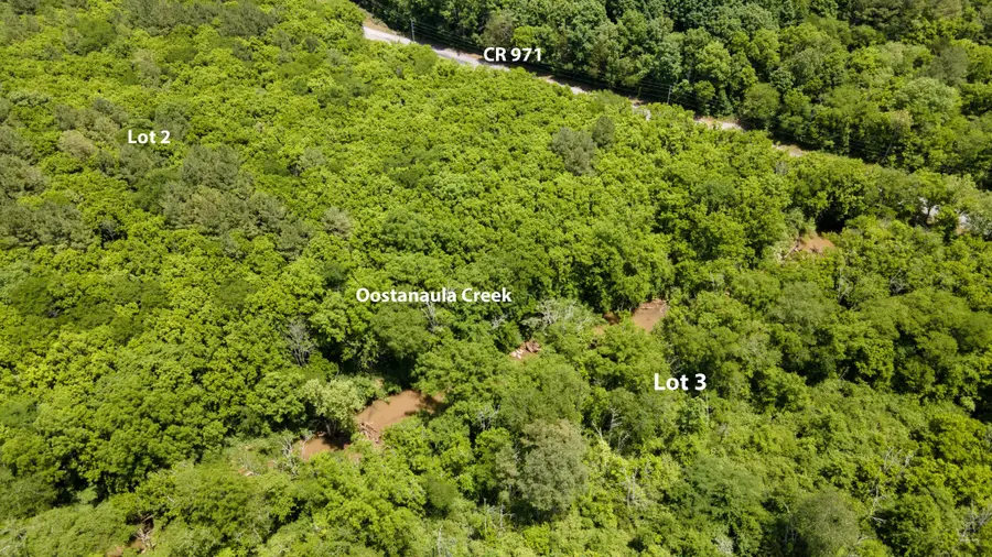 3 State Highway 163, Calhoun, TN 37309 - #2