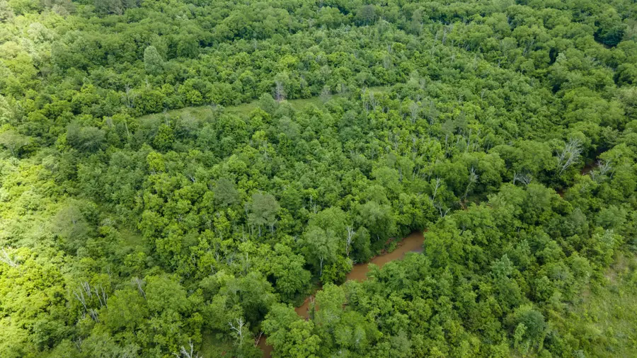 3 State Highway 163, Calhoun, TN 37309 - #3