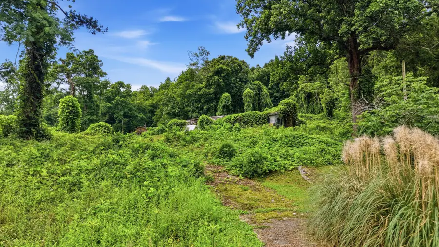 20045 River Canyon Road, Chattanooga, TN 37405 - #3