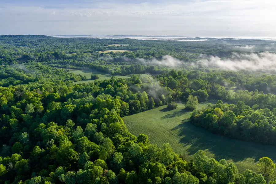 1647 Groveland Ridge Rd, Columbia, TN 38401 - #3
