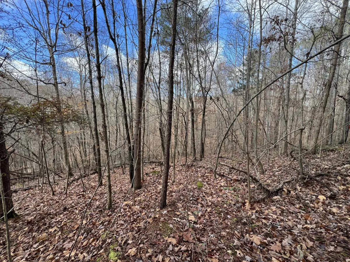 0 Smyrna Road, Evensville, TN 37332 - #1
