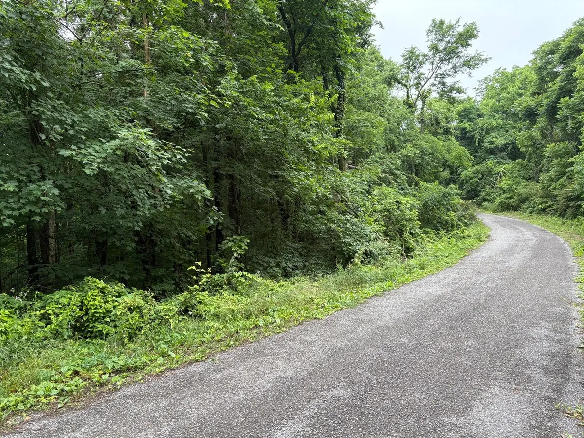 0 Ivy Hollow Rd, Mount Pleasant, TN 38474 - #1