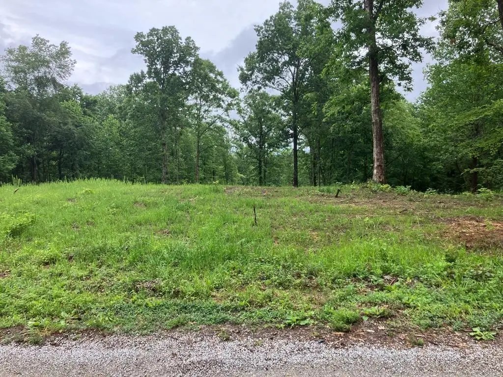 213 Wynn Ferry Rd, Big Sandy, TN 38221 - #1