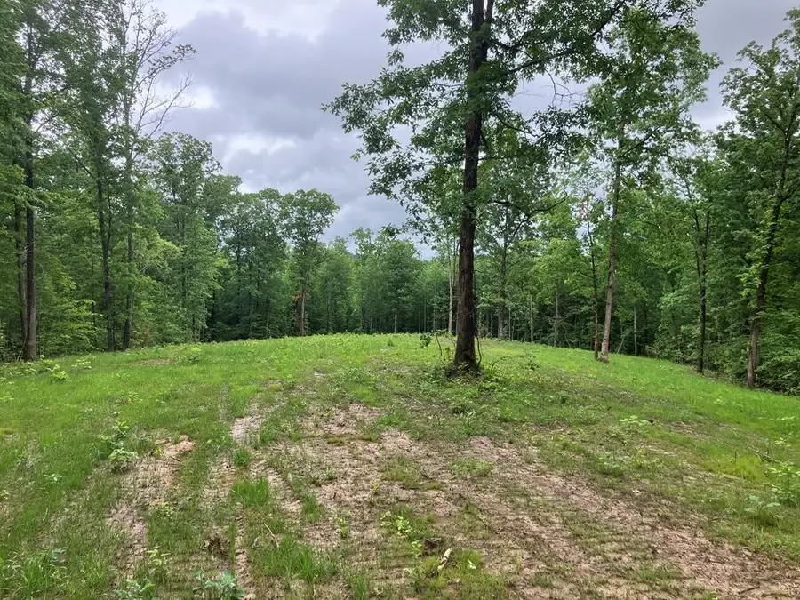 213 Wynn Ferry Rd, Big Sandy, TN 38221 - #3