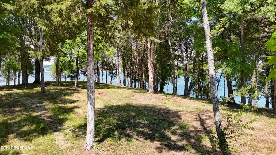 122 Ridge Point Tr, Dandridge, TN 37725 - #2